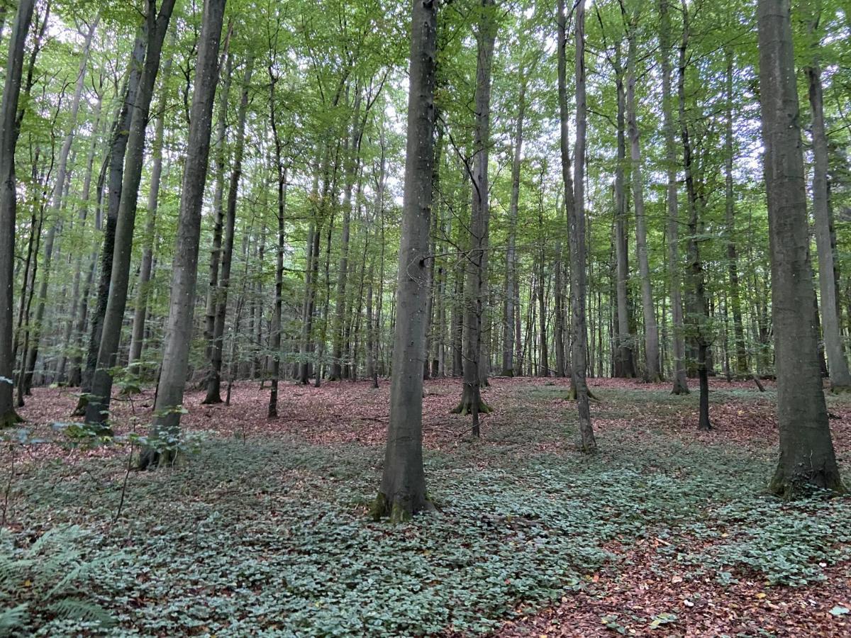 K 357 - Monteurzimmervermittlung und Vermietung Lübeck Ratekau Exterior foto